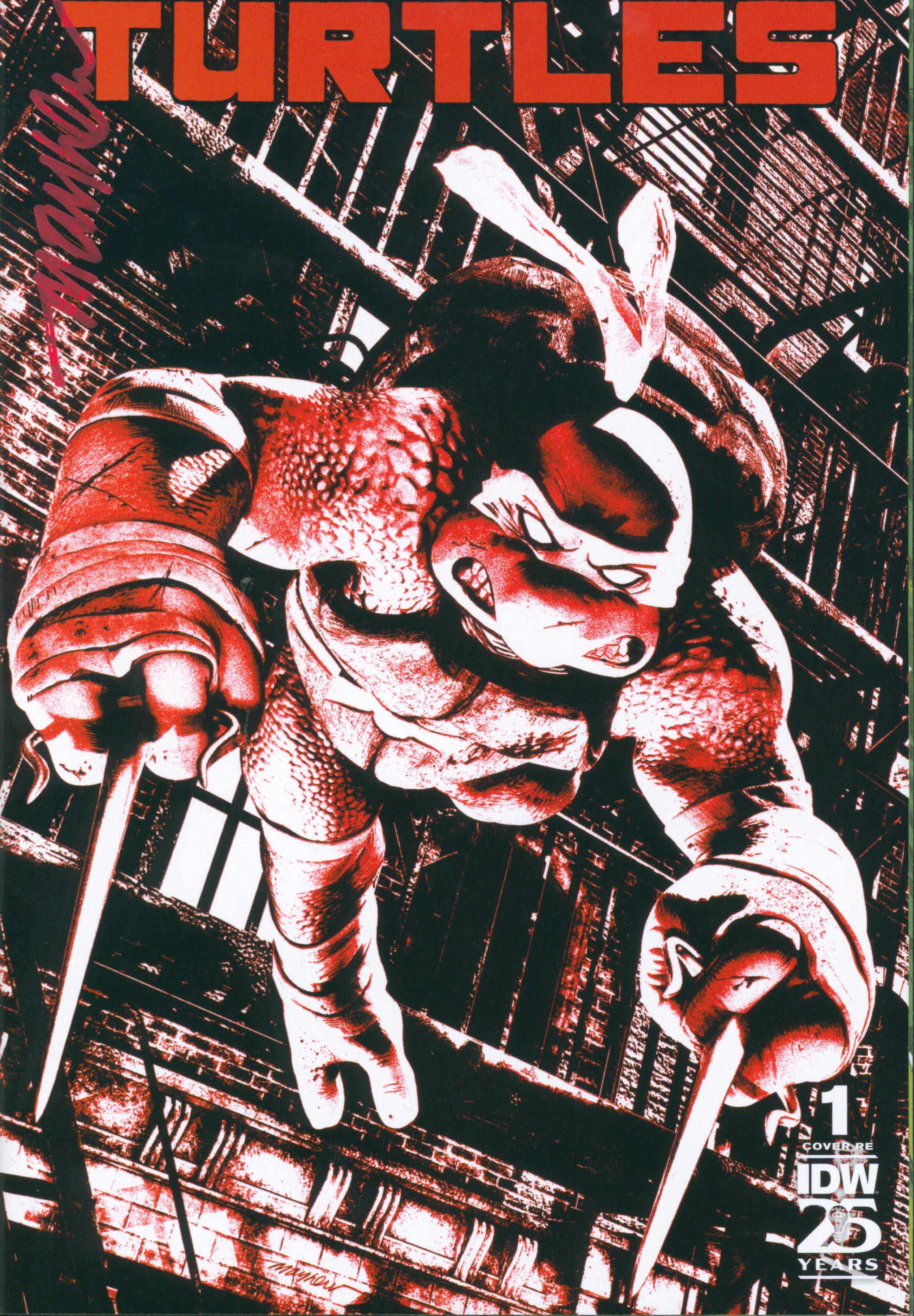 TMNT #1-#4 Set | Unterschrieben von Mike Mayhew