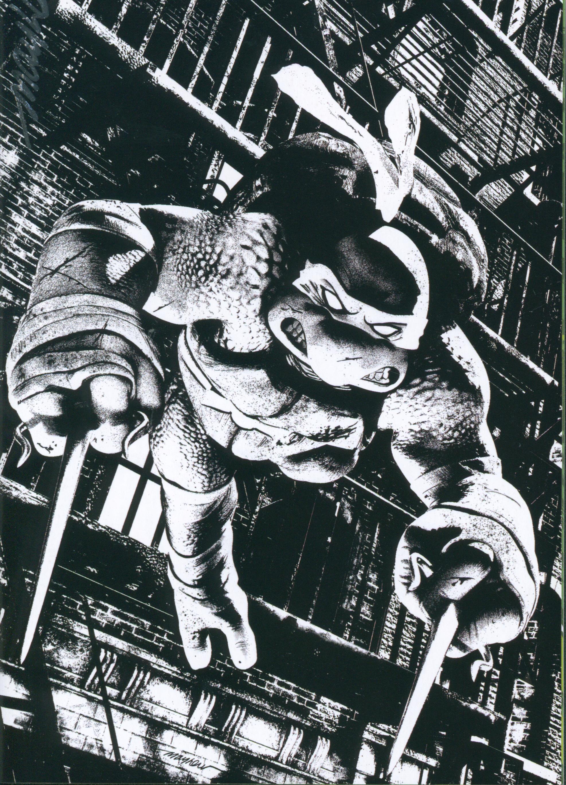 TMNT #1 | Unterschrieben von Mike Mayhew
