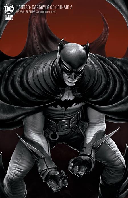 Batman: Gargoyle of Gotham #2