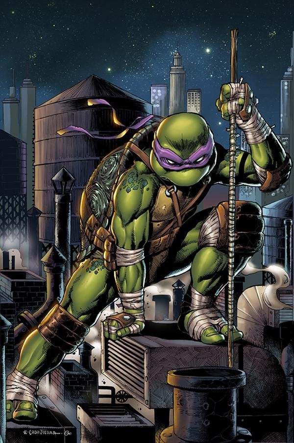 Teenage Mutant Ninja Turtles #104
