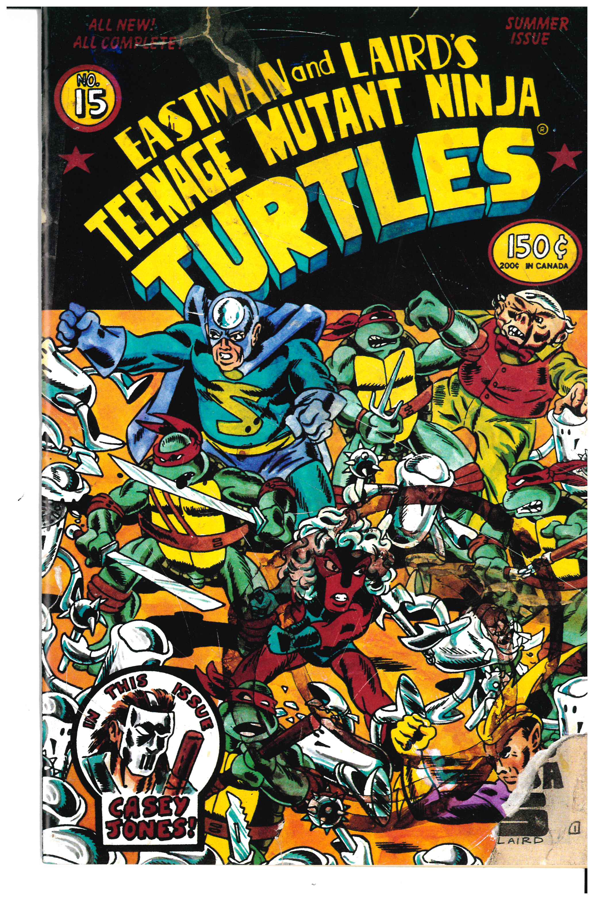 Teenage Mutant Ninja Turtles #15