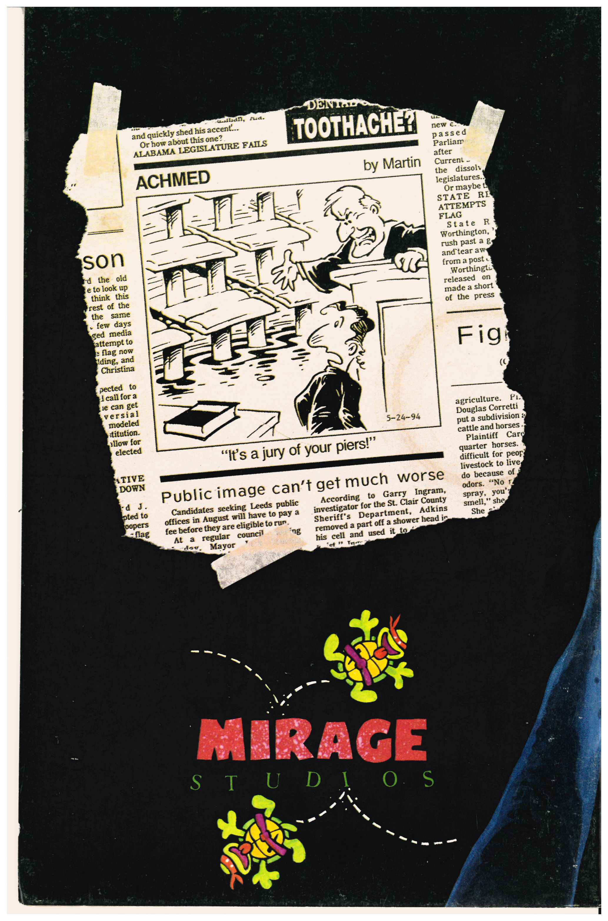 Teenage Mutant Ninja Turtles #16 Rücksiete