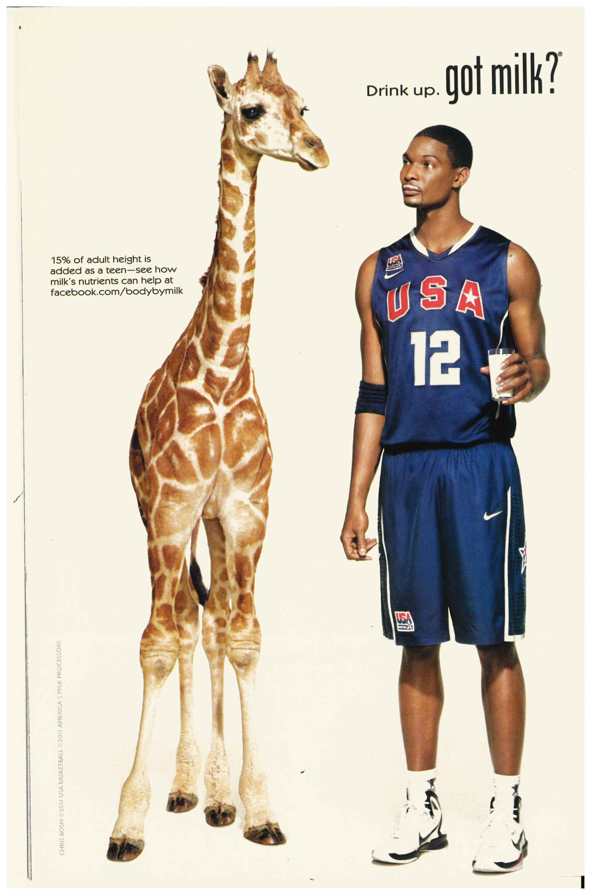 Marvel Point One #1 Rückseite