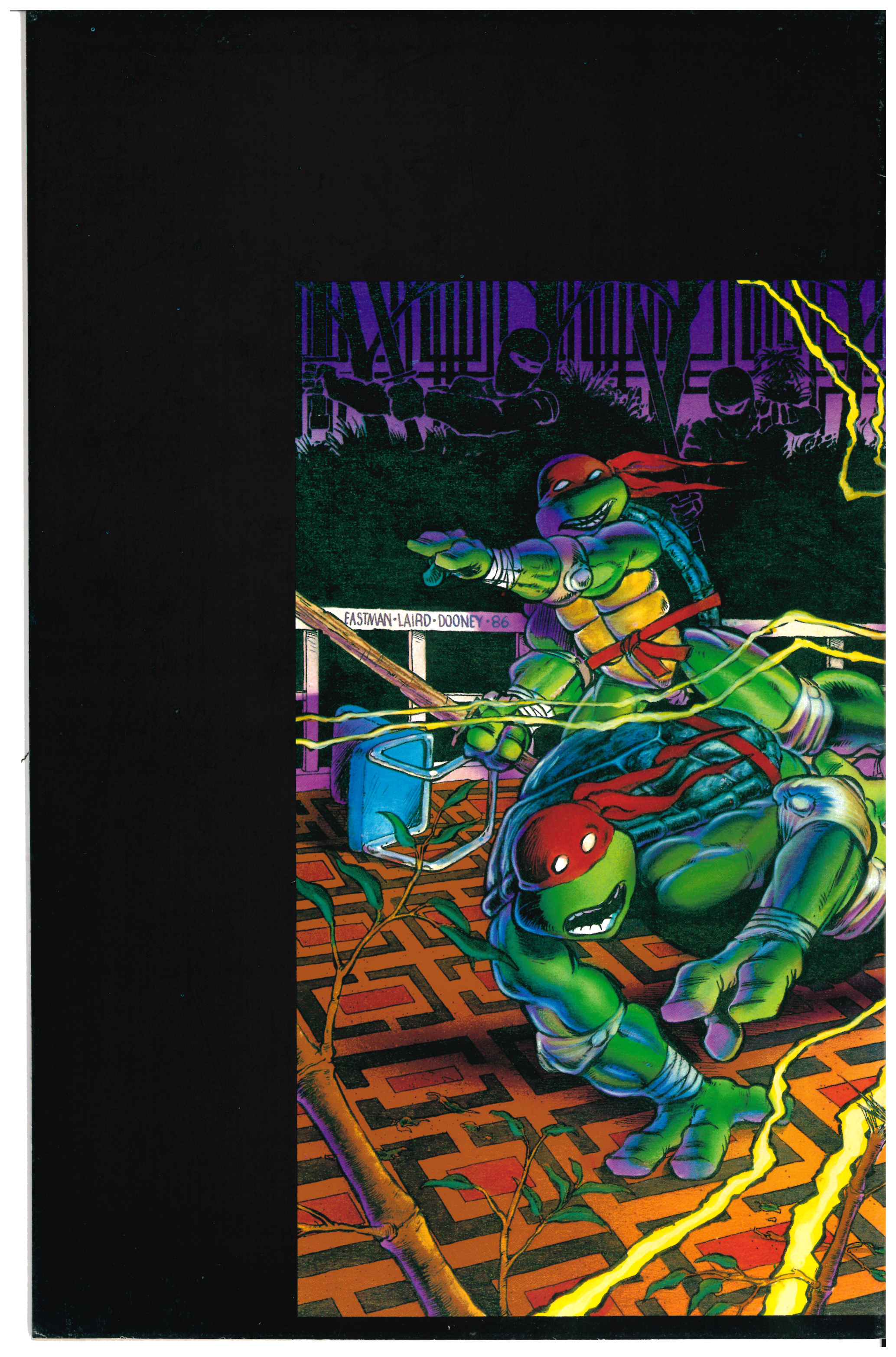 Teenage Mutant Ninja Turtles #9 Rückseite