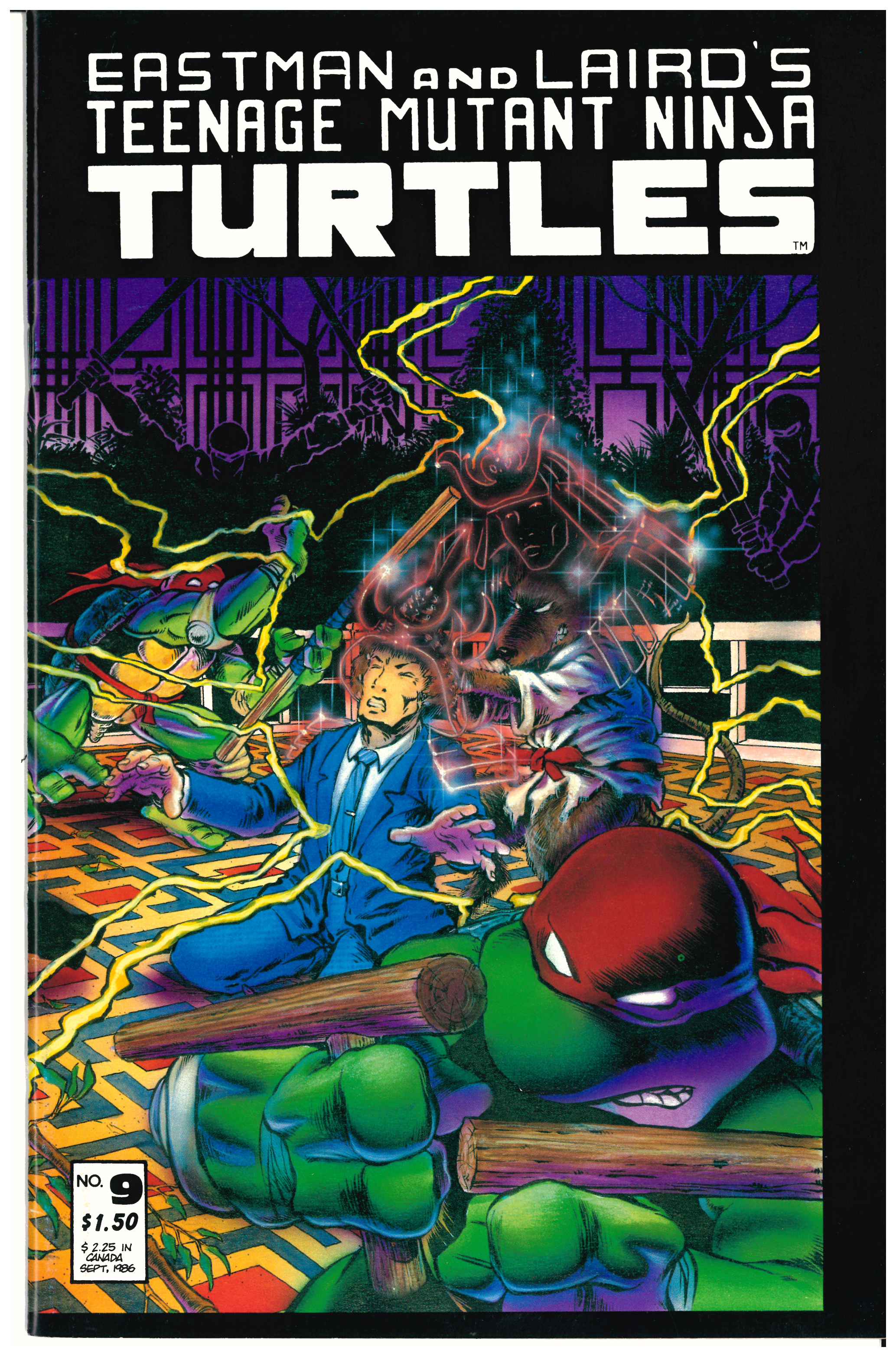Teenage Mutant Ninja Turtles #9