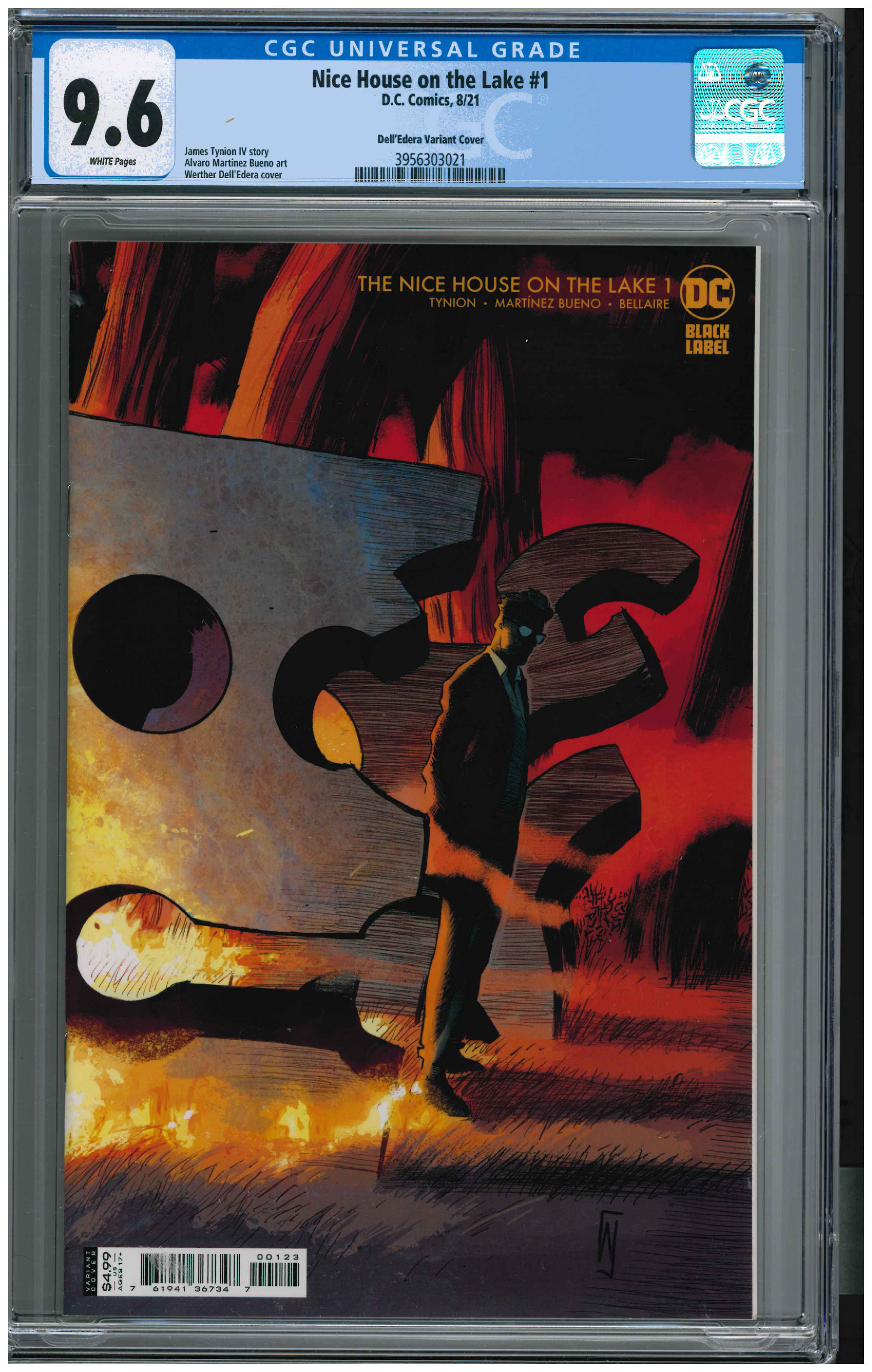 Nice House on the Lake #1