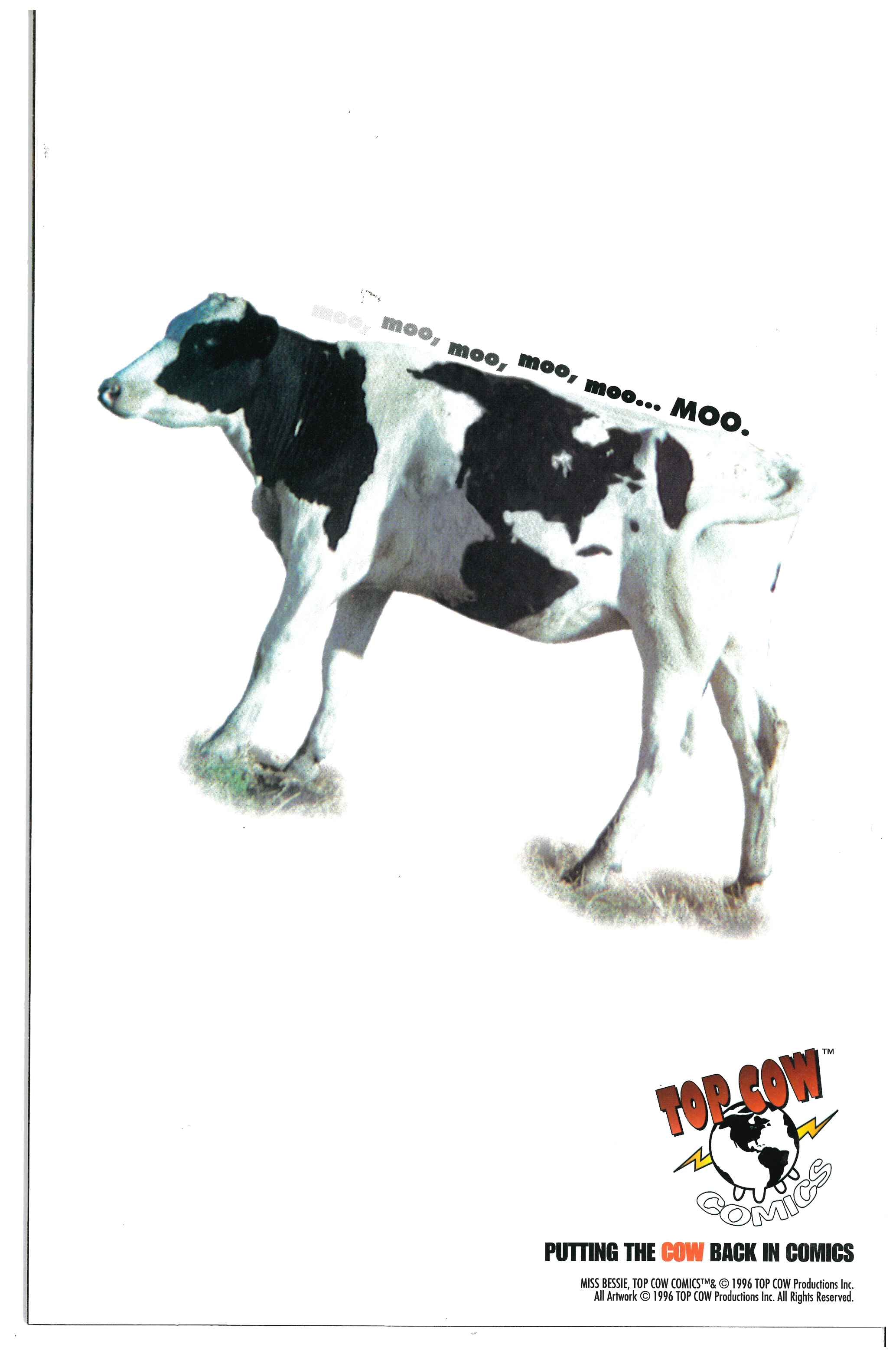 Witchblade #2 backside