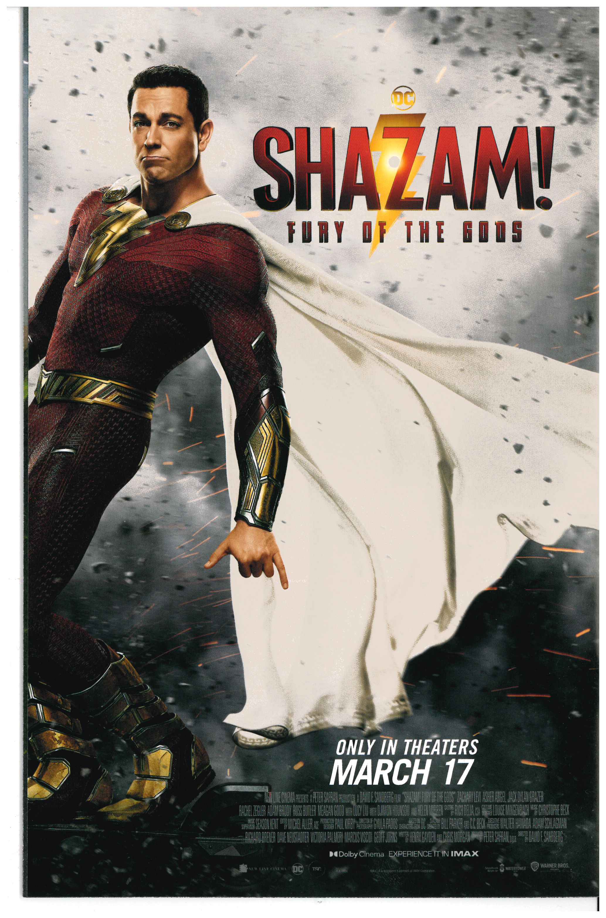 Wildcats #3 backside