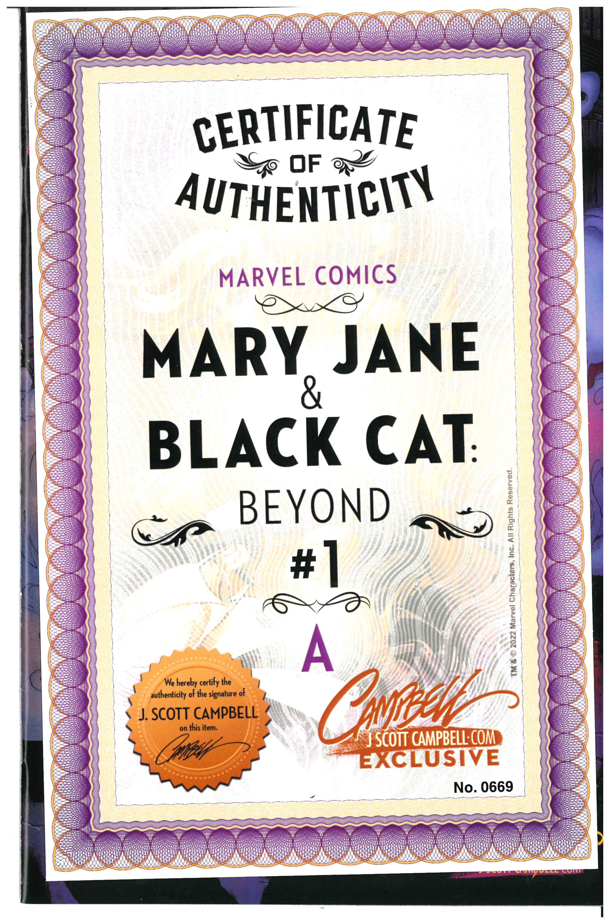 Mary Jane & Black Cat: Beyond #1 | Signed by J. Scott Campbell Certificate of Authenticity