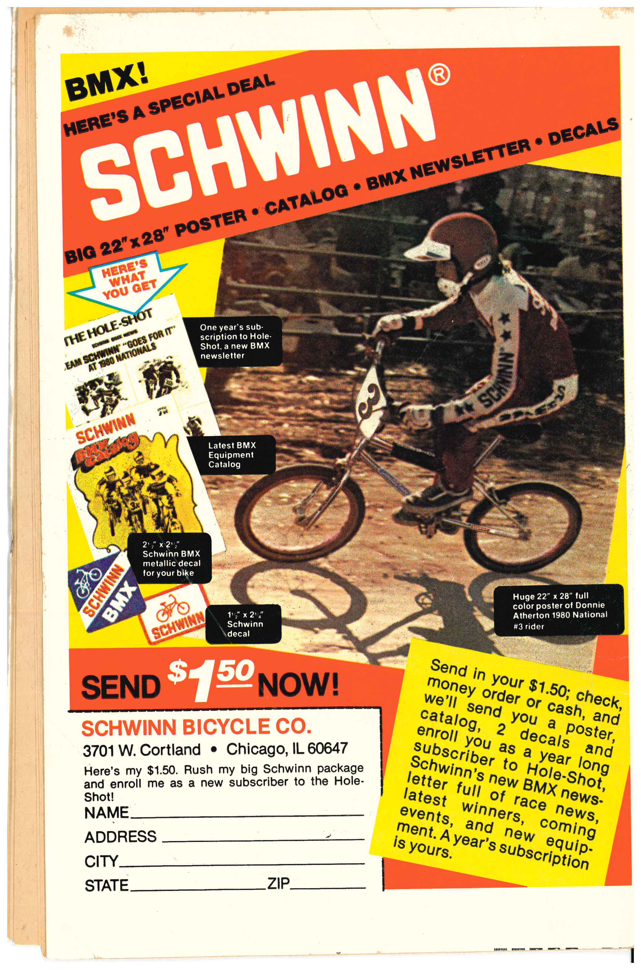 Savage She-Hulk #7 backside