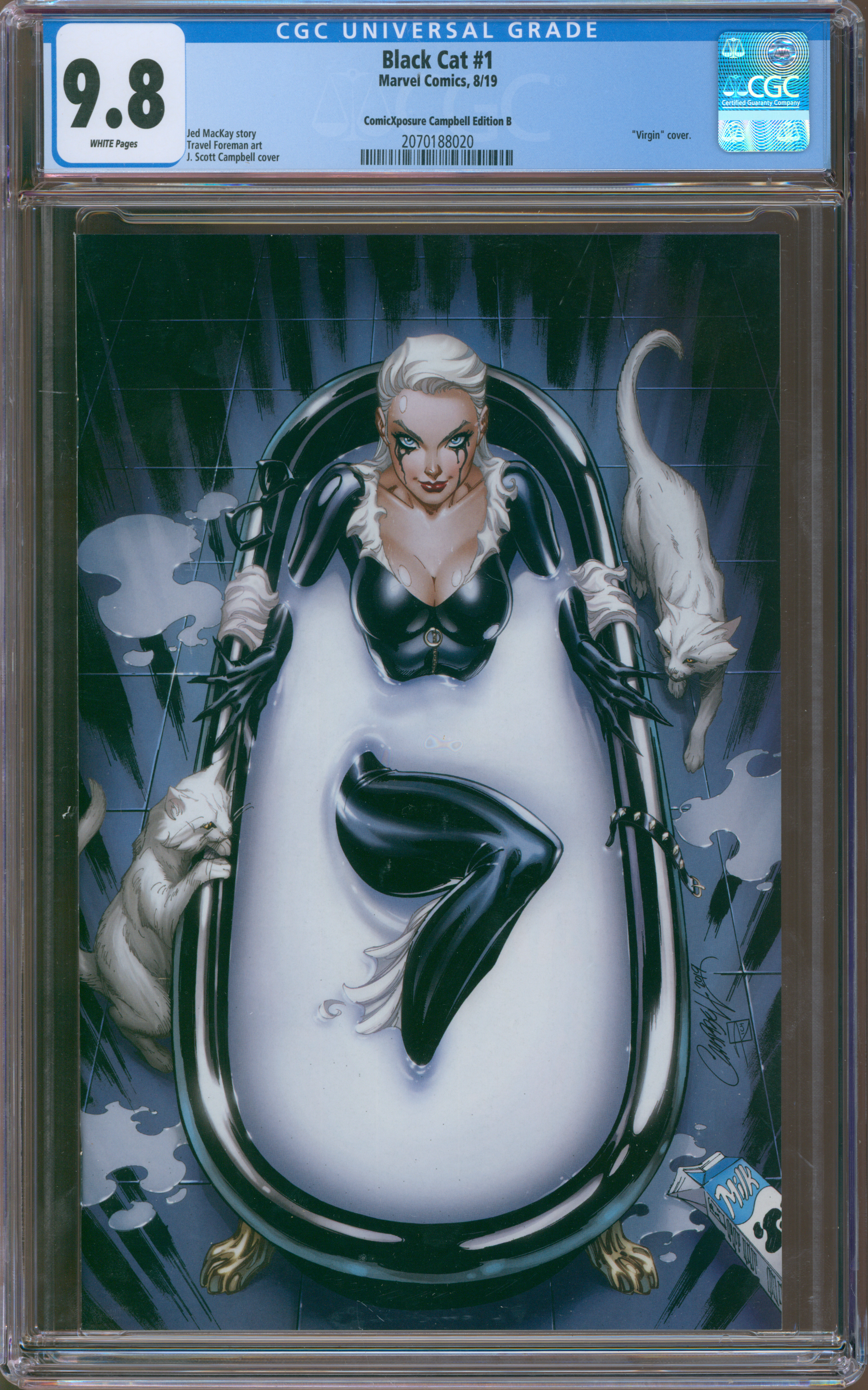 Black Cat #1