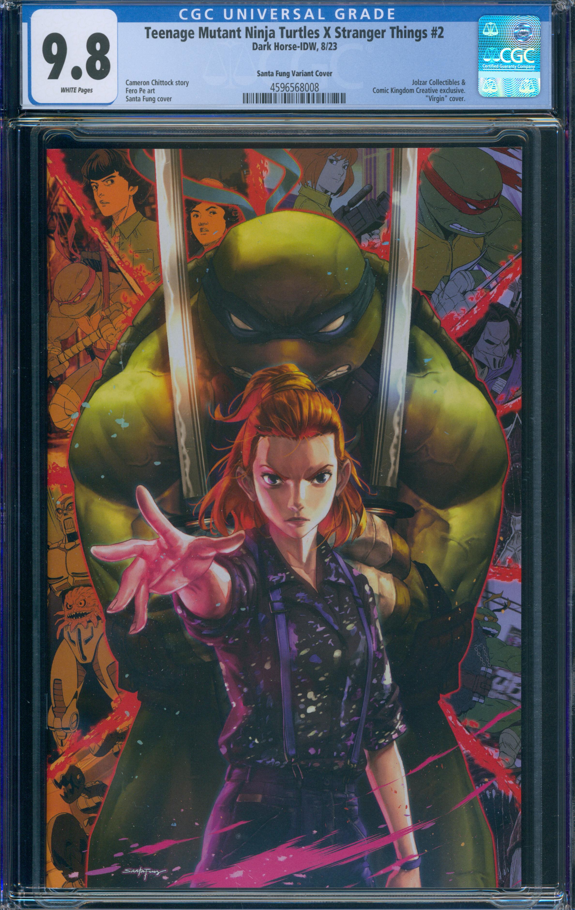 Teenage Mutant Ninja Turtles X Stranger Things #2