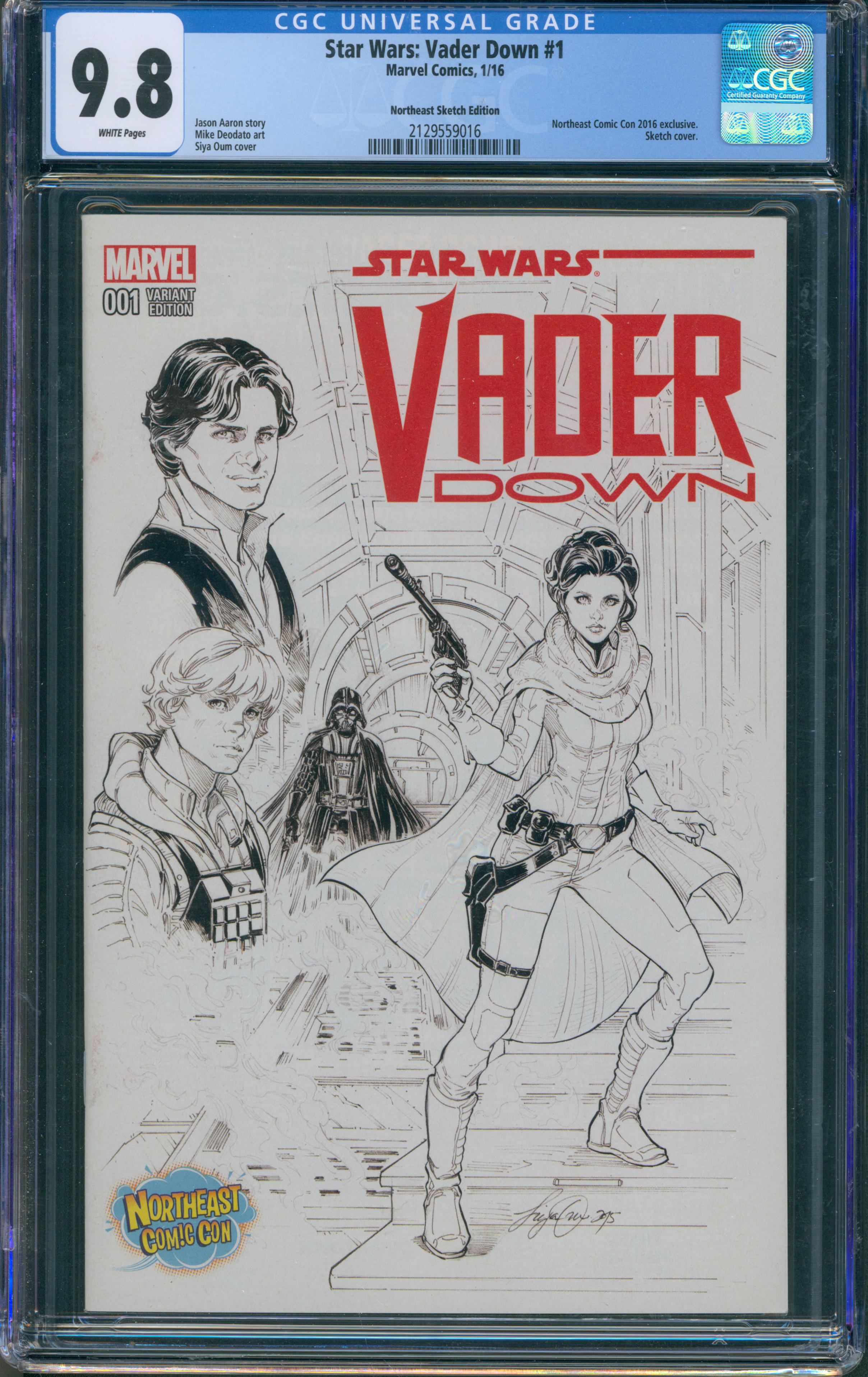 Star Wars: Vader Down #1