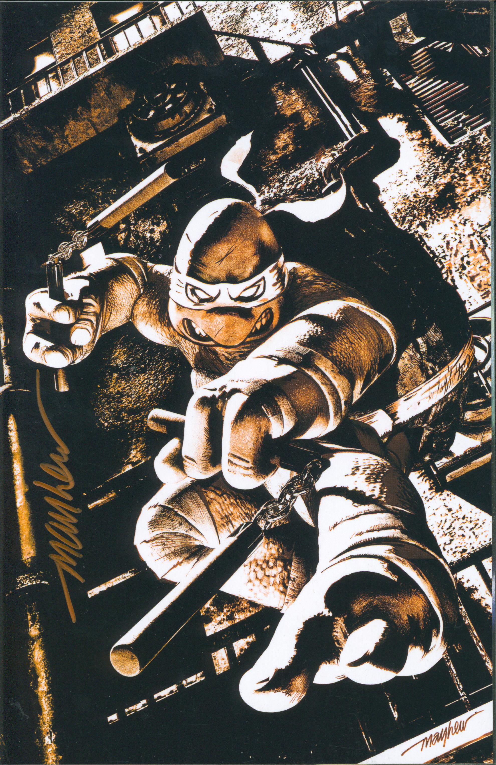 TMNT #2 | Unterschrieben von Mike Mayhew