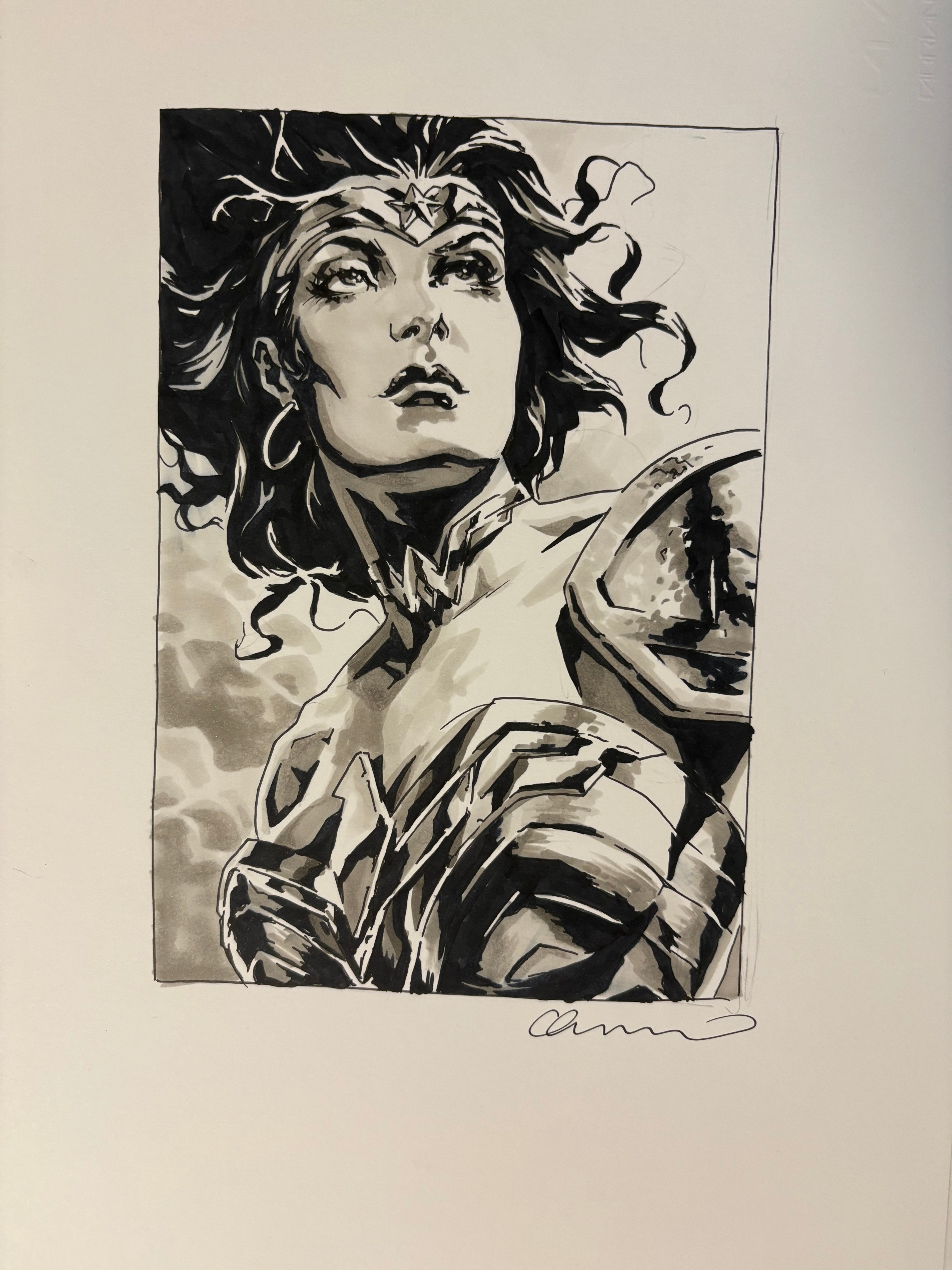 Lee Bermejo - Wonder Woman - Original Art