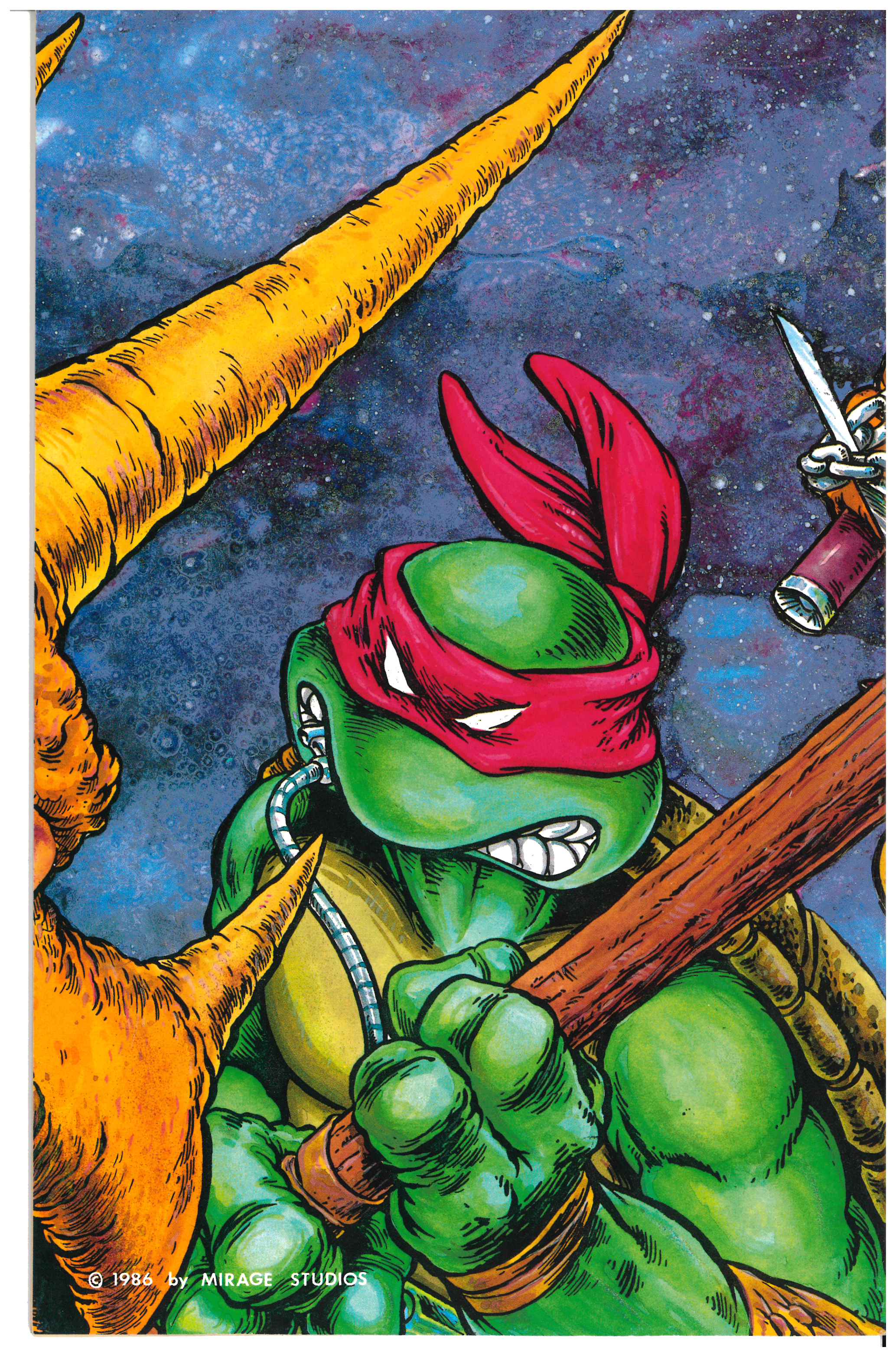 Teenage Mutant Ninja Turtles #6 backside