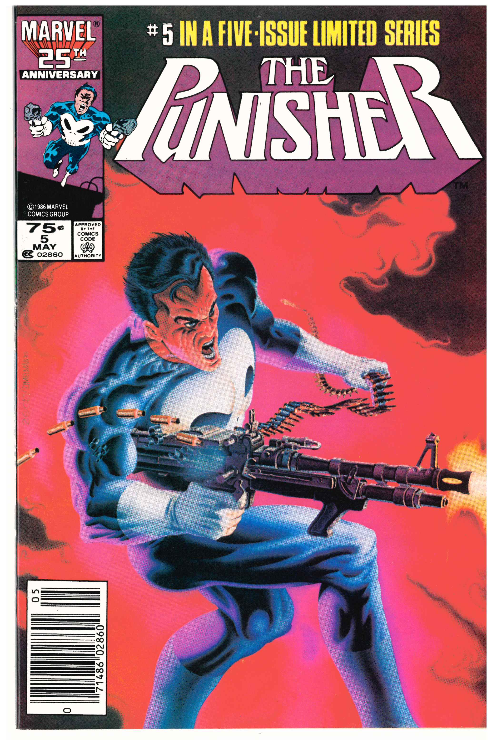 The Punisher #5
