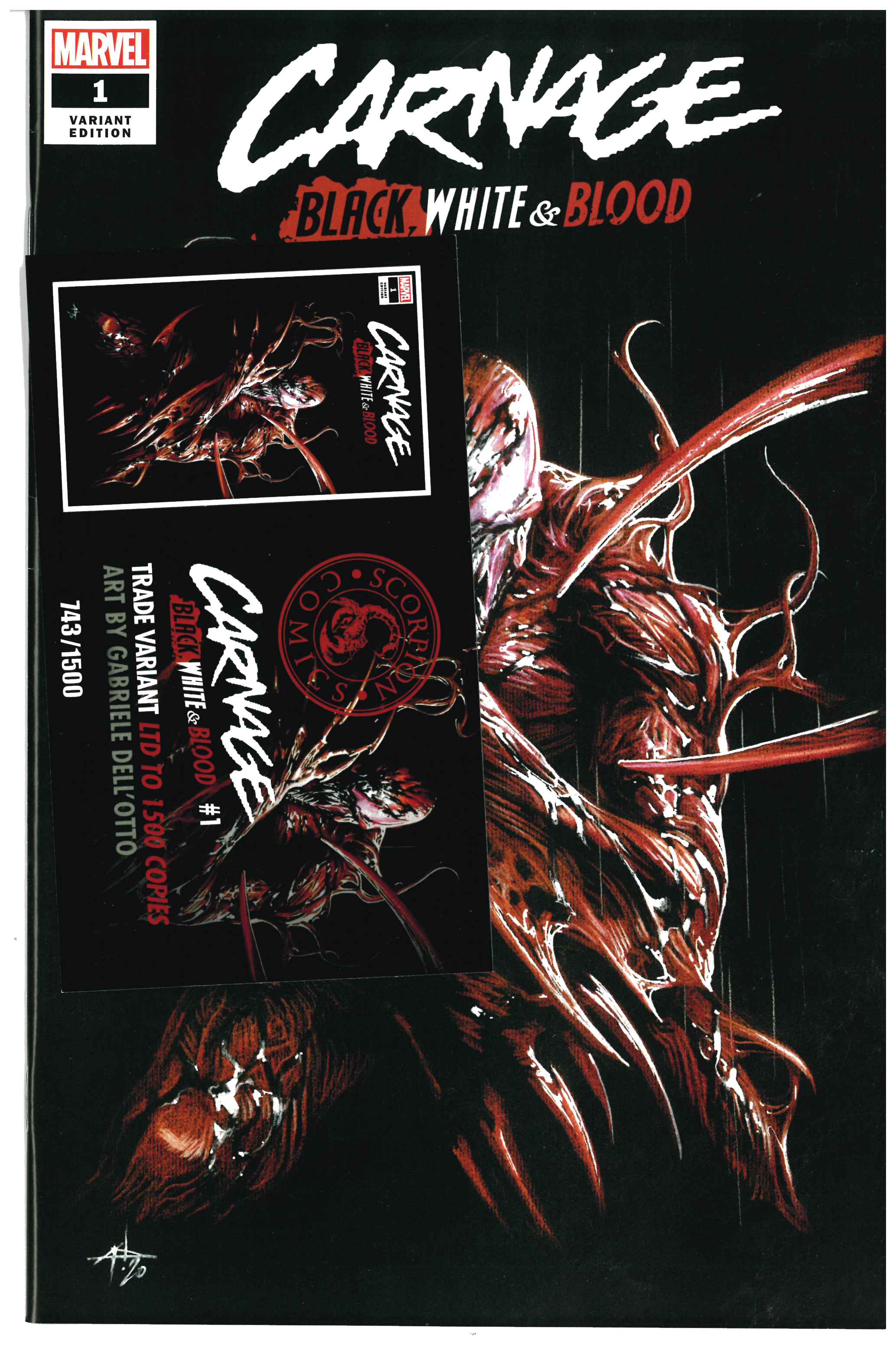 Carnage: Black, White & Blood #1