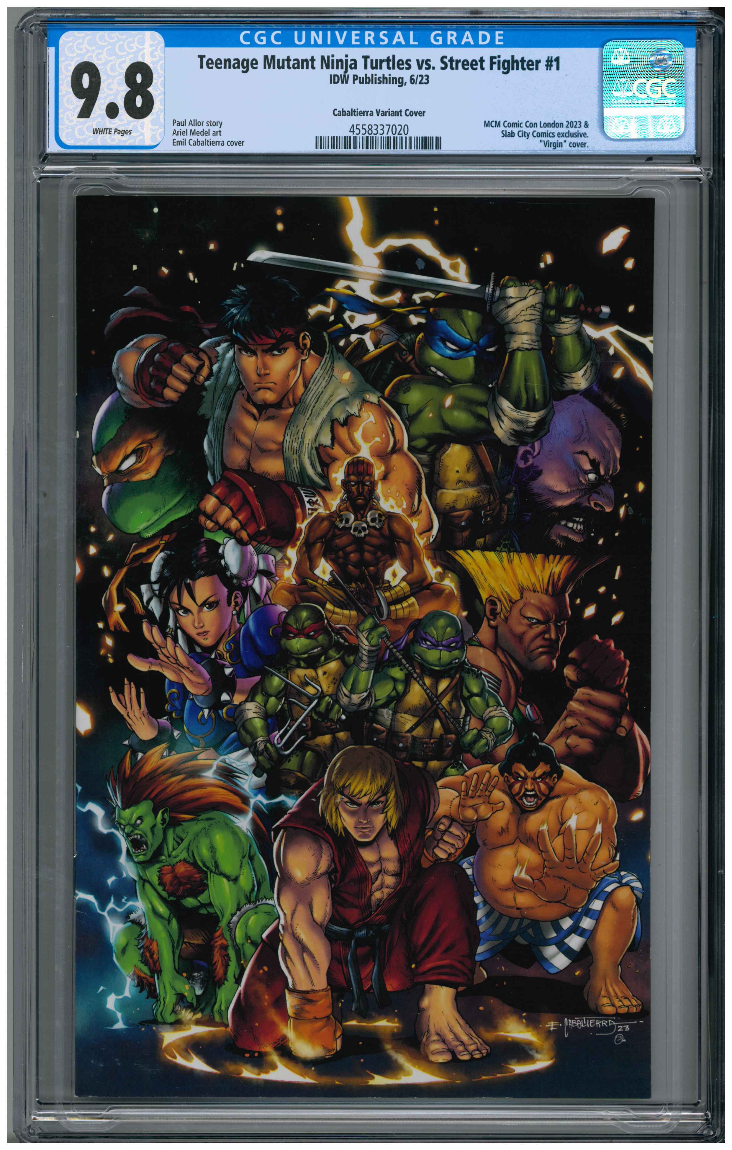 Teenage Mutant Ninja Turtles vs. Street Fighter #1