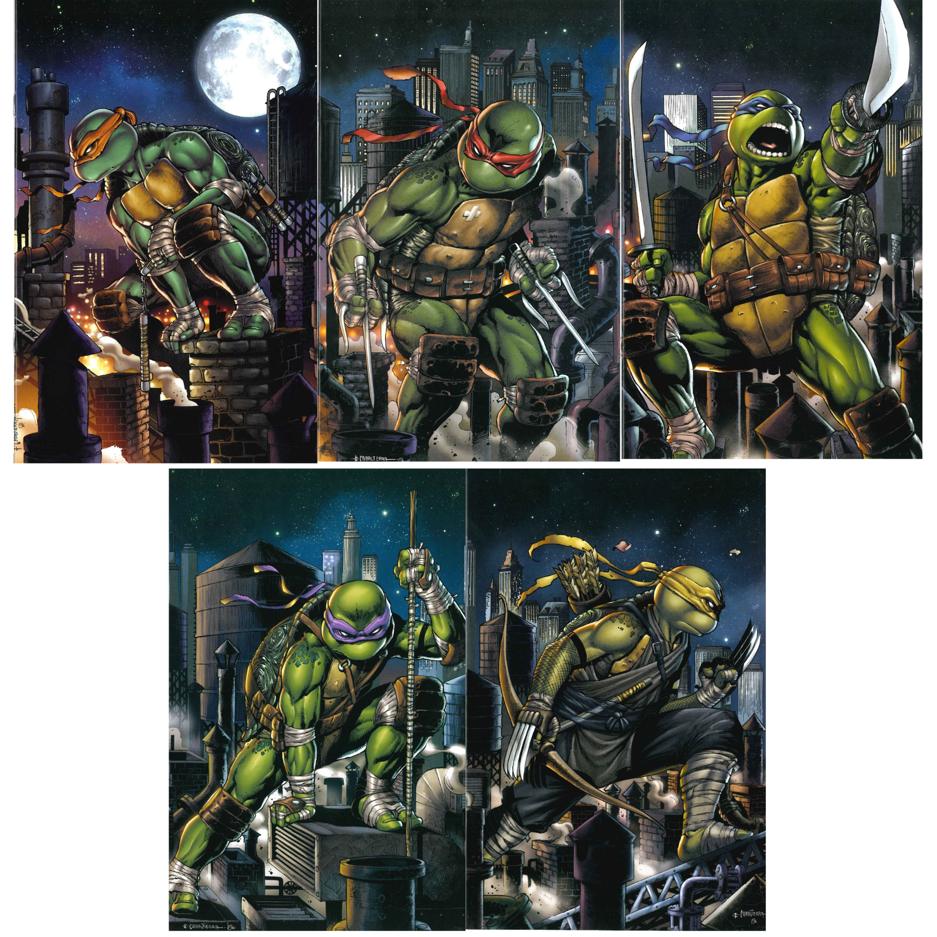 Teenage Mutant Ninja Turtles #101 - #105 | 5-Cover Connecting Set