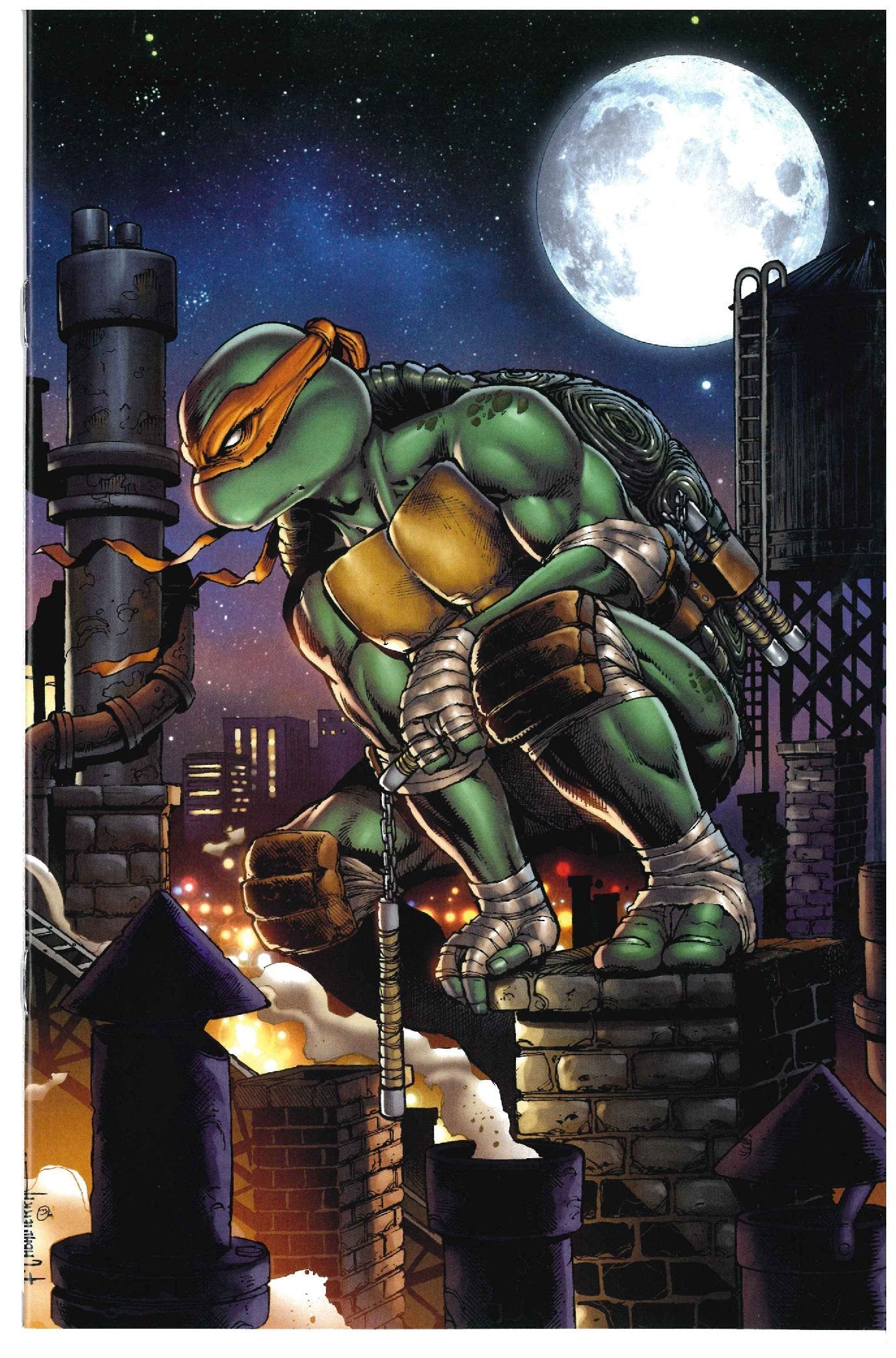 Teenage Mutant Ninja Turtles #5