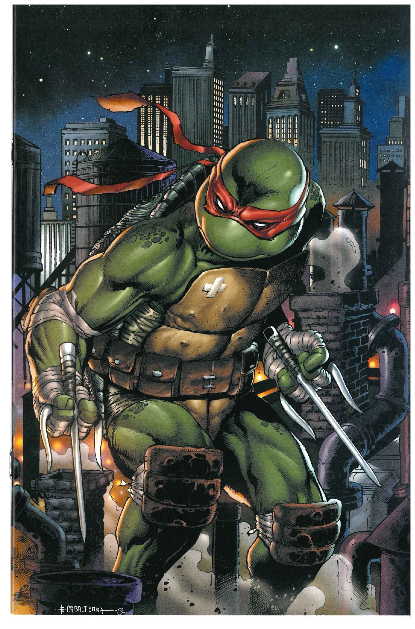 Teenage Mutant Ninja Turtles #5