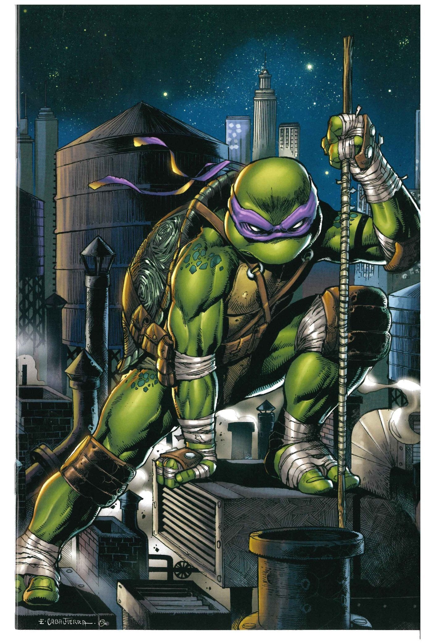 Teenage Mutant Ninja Turtles #5