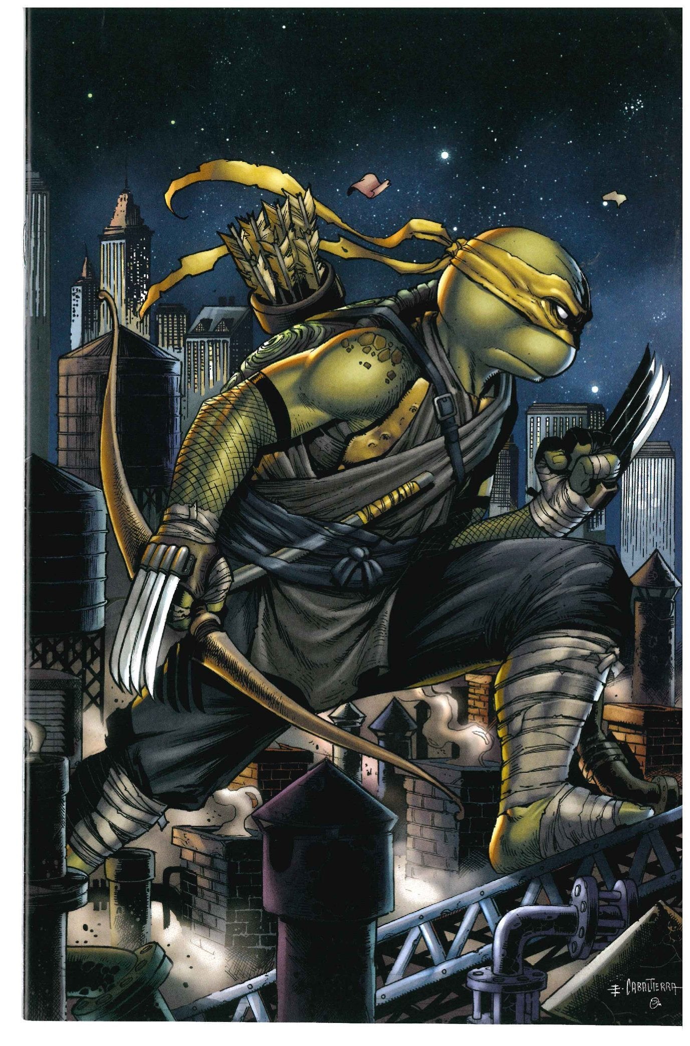 Teenage Mutant Ninja Turtles #105