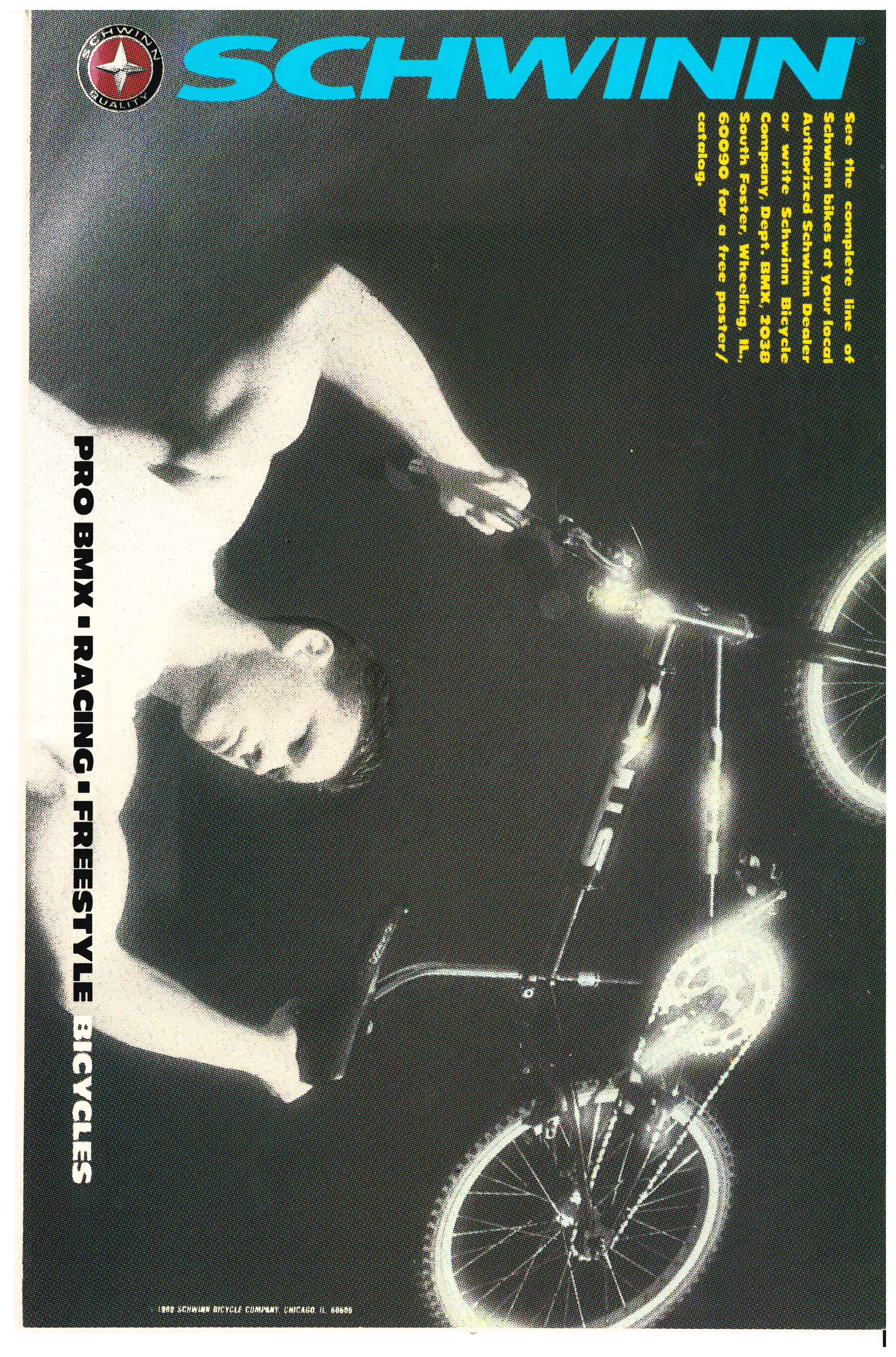 Sensational She-Hulk #1 backside